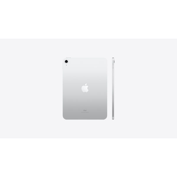 iPad 第10世代 256GB wifiモデル 極美品 - www.stedile.com.br