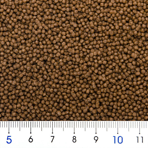 日本動物薬品 ニチドウ メディゴールド 金魚用 浮上性 100g 日本動物薬品 ニチドウ メディゴールド 金魚用 浮上性 100g