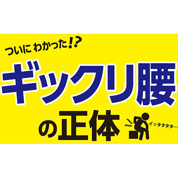 文響社 腰の激痛 椎間板ヘルニアギックリ腰すべり症分離症圧迫骨折 腰