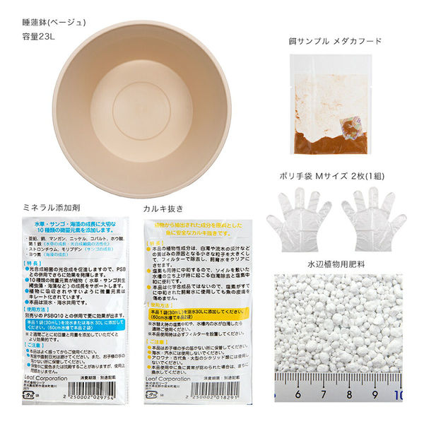 睡蓮 ( 額装済み) 用品セット 14号 プロが考えた睡蓮鉢（メダカ鉢）ベージュ +