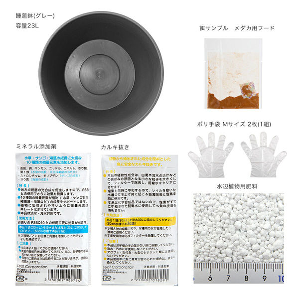 睡蓮 ( 額装済み) Goldin