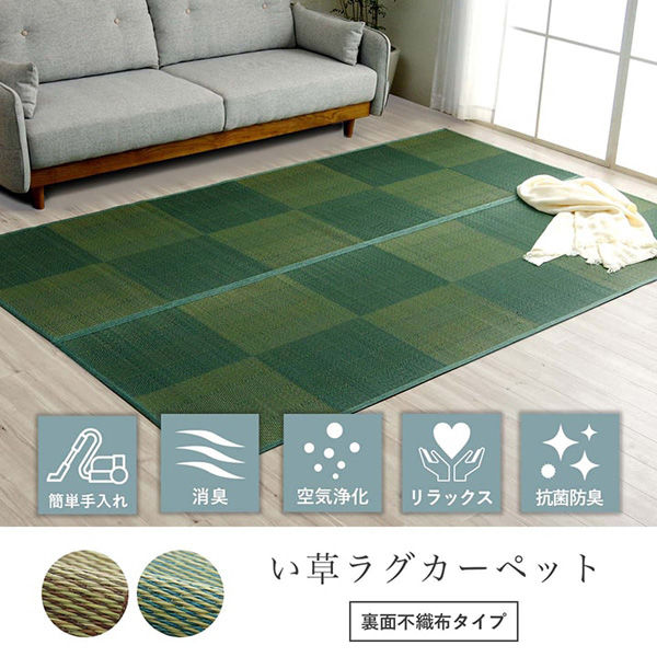 イケヒコ・コーポレーション い草ラグ 抗菌防臭 NDXルネ 本間4.5 イケヒコ・コーポレーション い草ラグ 抗菌防臭 NDXルネ 本間4.5