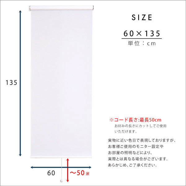 ホームテイスト つっぱりロールスクリーン 採光タイプ 縦600×横