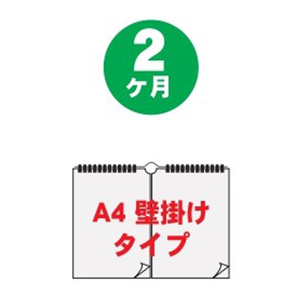 エムプラン 【2024年版】ベーシック A4 2ヶ月 壁掛カレンダー 203813-01 1セット（2冊）（直送品）