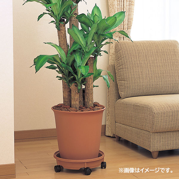 グリーンパル 鉢受け皿 キャスター付き プラスチック ブラウン 350型 1