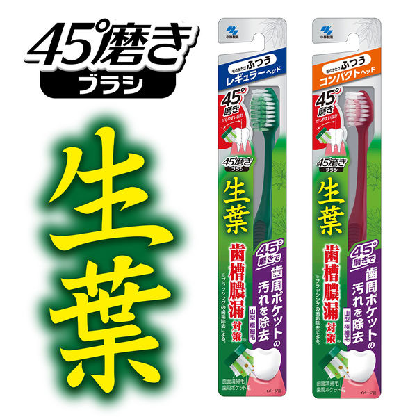 生葉（しょうよう）45°磨きブラシ - 製品情報 - 小林製薬株式会社