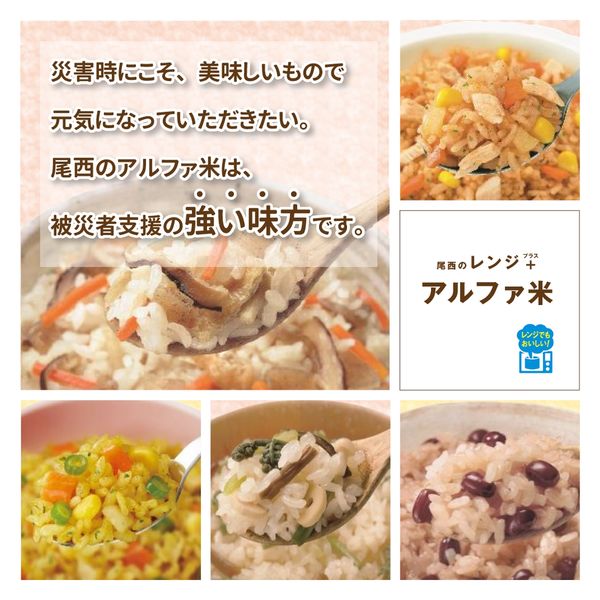 公式限定 福袋 - 公式通販オンラインショップ 4食セット】尾西のレンジプラス チキンライス アルファ米 時短 その他