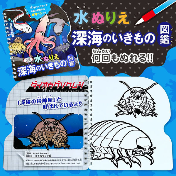 4歳の時に書いた水中の生き物の絵 4歳の時に書いた水中の生き物の絵 4歳の時に書い