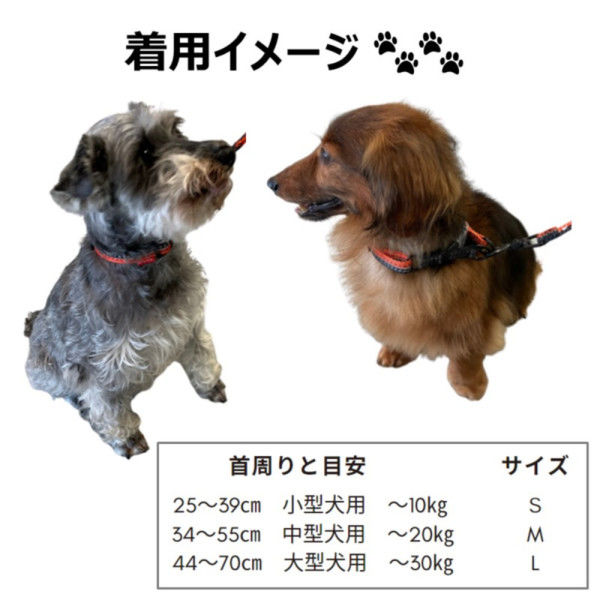 ナイトラン スポルティ反射Wカラー 首輪 中型犬用Mサイズ オレンジ 1個