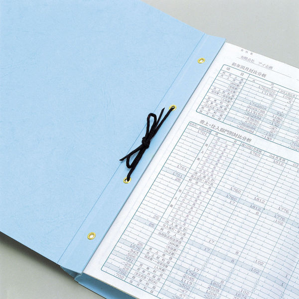 【送料無料/新品】 1010 K4S エイナーファイル 10冊 アスクル - 美濃商会 フラットファイル