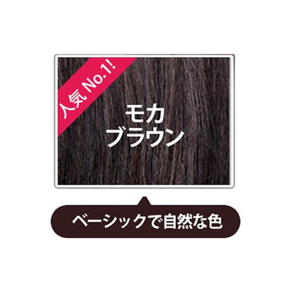 LPLP（ルプルプ） ヘアカラートリートメント モカブラウン 200g 1個 スタージュ