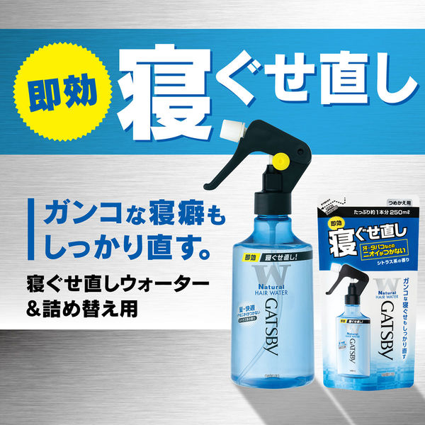 マンダム GATSBY(ギャツビー) 寝ぐせ直しウォーター(285ml)〔寝ぐせ