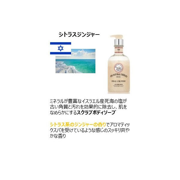 オン・ザ・ボディ ヴェールメント ナチュラルスパ シトラスジンジャー香り 400ml 銀座ステファニー化粧品【液体タイプ】