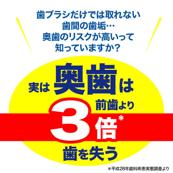 糸ようじ 小林製薬 やわらか歯間ブラシL字カーブ SSS-Sサイズ 極細