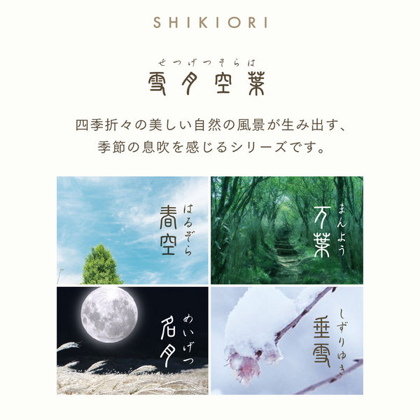 セーラー万年筆 四季織 雪月空葉 垂雪（しずりゆき） 万年筆 MF