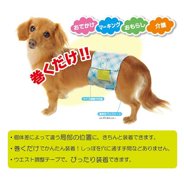 第一衛材 男の子のためのマナーおむつ おしっこ用 ビッグパック 中型犬