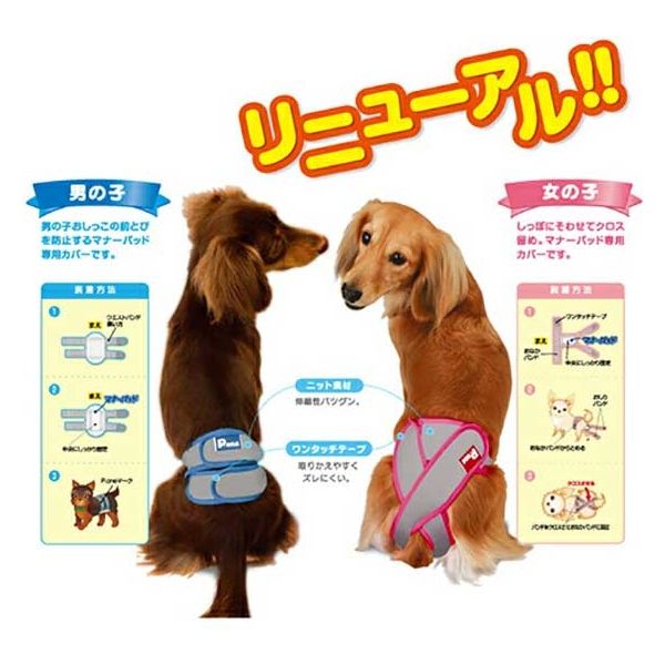 第一衛材 女の子用 マナーホルダー Active LL 259282 1個（直送品