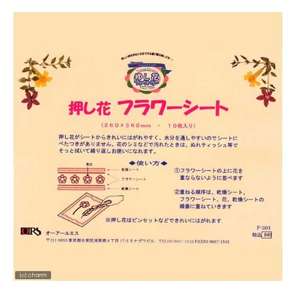 押し花用　PANPASTEL27色29個 押し花用 PANPASTEL27色29個