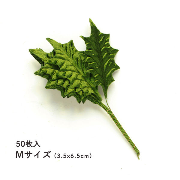 日本紐釦貿易 ひいらぎ Mサイズ 約3.5x6.5cm 50枚入 MAF-157-50 日本紐釦貿易 ひいらぎ Mサイズ 約3.5x6.5cm 50枚入 MAF-157-50