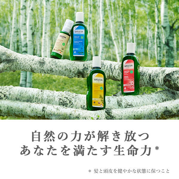 WELEDA（ヴェレダ） アルガン ヘアシャンプー 200ml - アスクル