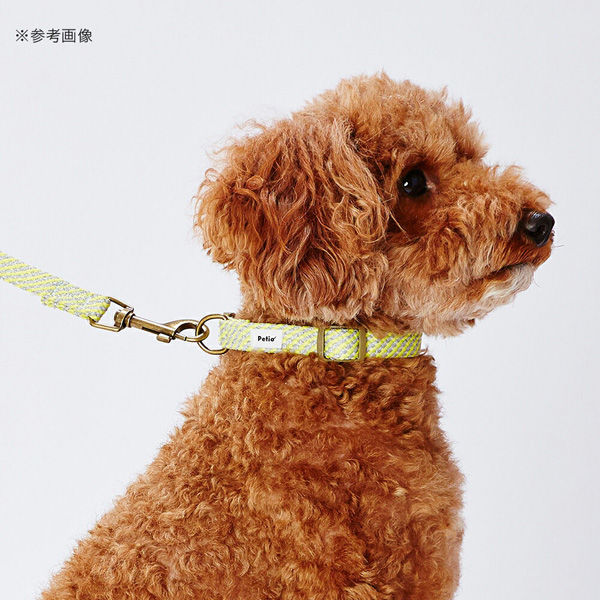 ペティオ 犬用首輪 フラッシュソフトカラー S イエロー 271607 1個