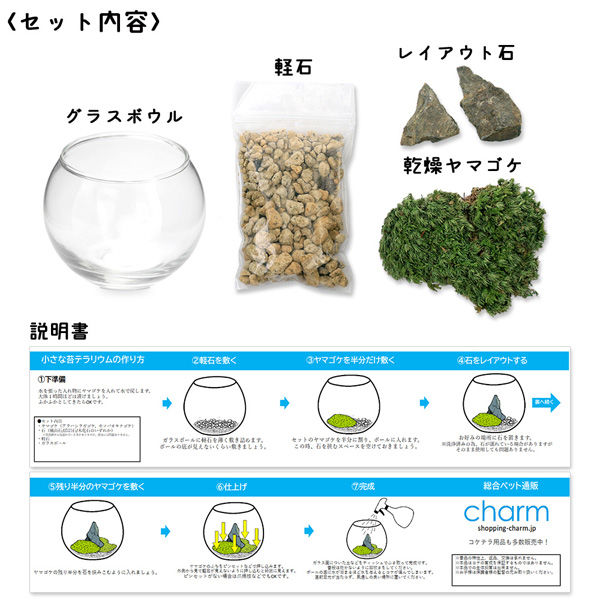 リーフ 種類おまかせ 本物で作る 小さな苔テラリウムガチャ 台紙