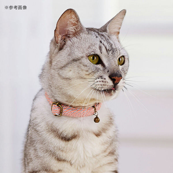 ピンクの猫 Amazon.co.jp: 飯川雄大 コレータークラブ ピンクの猫の小林さん