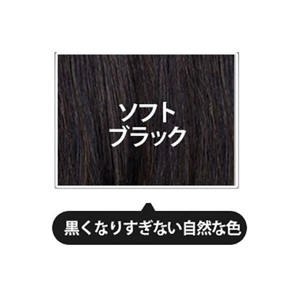 LPLP（ルプルプ） ヘアカラートリートメント ソフトブラック 200g 5個 