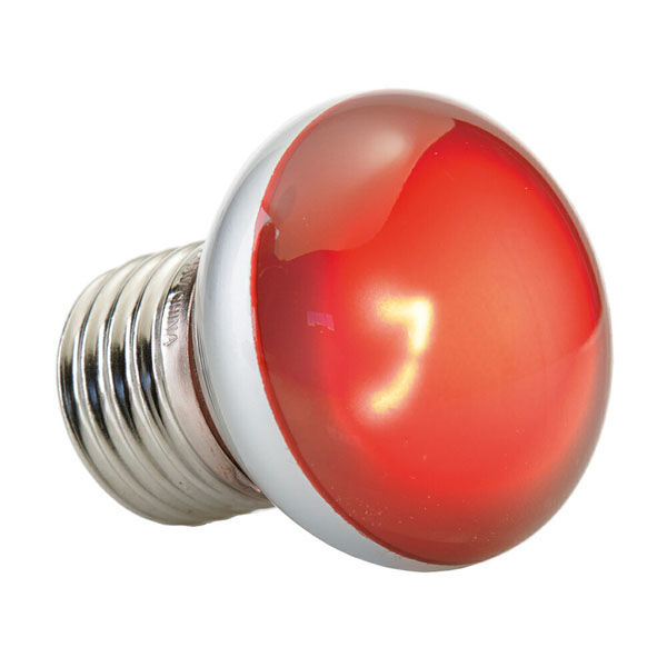 ジェックス GEX エキゾテラ ヒートグロー ナノ 247943 1個（直送品