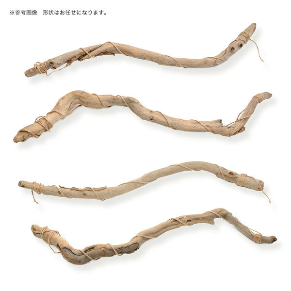 株)リーフ Leaf Corp 形状お任せ ハンギング流木 棒状タイプ M