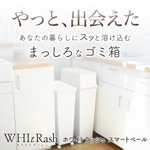 天馬 ゴミ箱 45L 本体 スリム ホワイトラッシュ スマートペール 