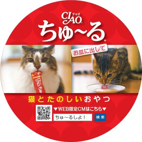 CIAOチュール 1歳マデノ子ネコ用バラエティ 14g×20本×16 - キャットフード