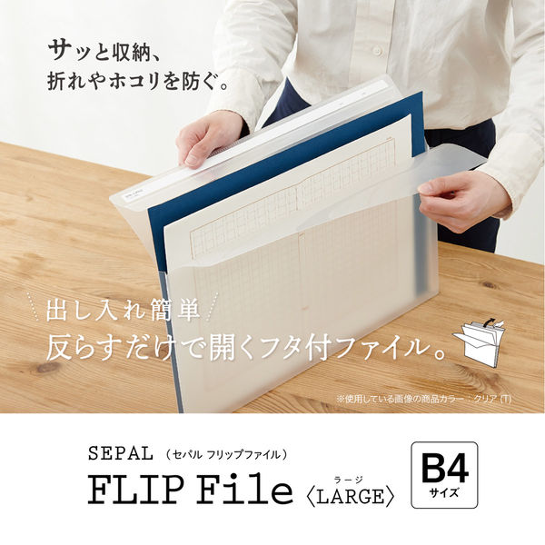 ゼロリミットプラス 4箱 新品未開封 パンフレット1部付き！ ゼロ