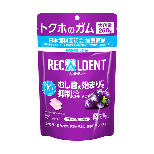 リカルデント グレープミントガム スタンドパウチ 6袋 モンデリーズ