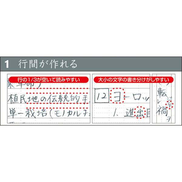 ナカバヤシ スイング ロジカルWリングノートB5ヨコA罫桃 NW-B501YA 1