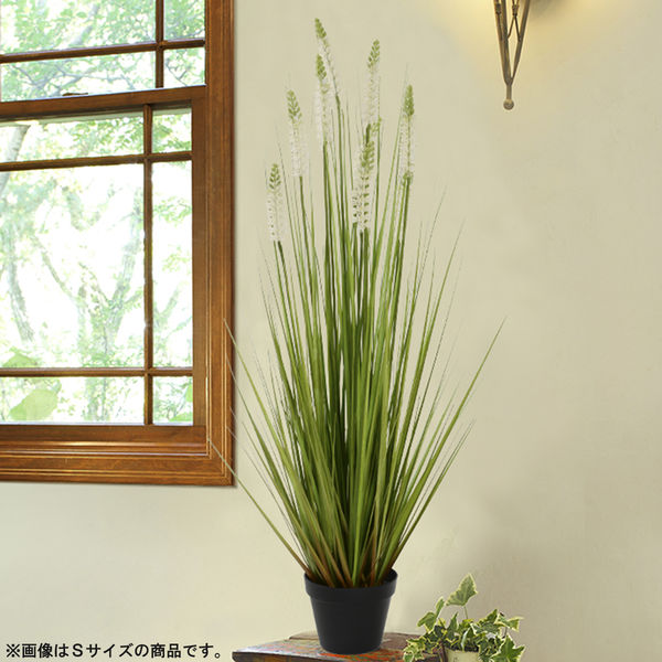 萩原 ホワイトラベンダーグラス 高さ約122cm 光触媒加工付き