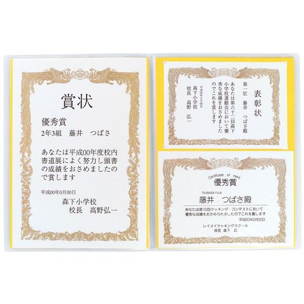 レイメイ藤井 賞状ファイル A3ブルー LSB101A 1個 - アスクル レイメイ藤井 賞状ファイル A3ブルー LSB101A 1個 - アスクル