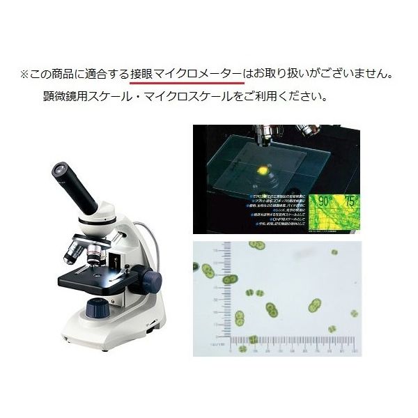 アズワン 生物顕微鏡 40~1000× E-110 1個 3-6305-01（直送品） - アスクル