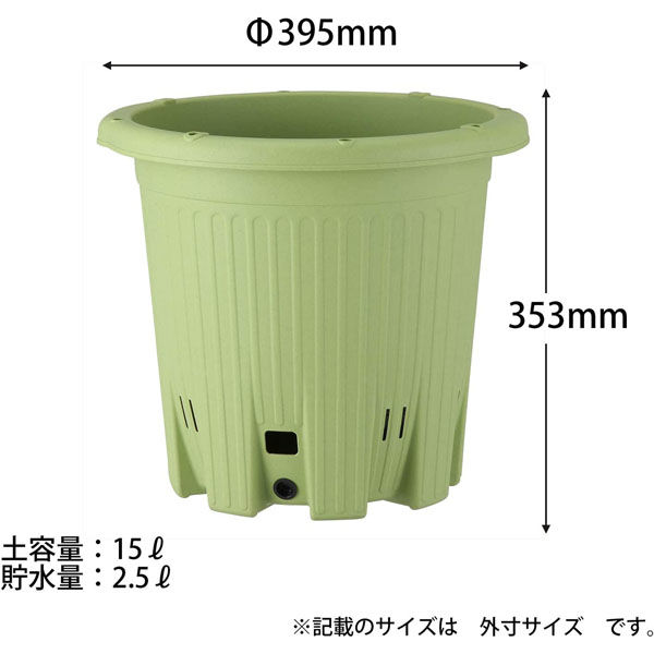 ナツメヤシ　デーツ　2本セット　鉢付　鉢上から1m越え！良形！ 楽天市場】[レビュー特典]OSB×スチール 鉢カバーS 32cm