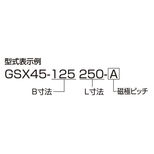 ジーネット GIGA ギガ・セレクション 傾斜式永磁チャック GSX45-150300