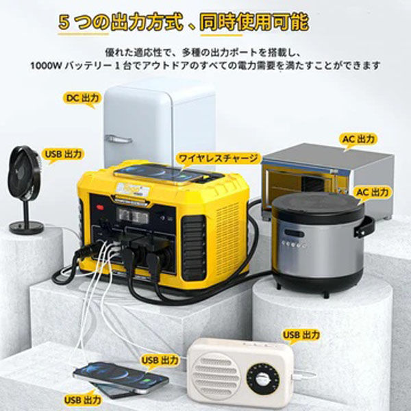 TogoPower ポータブル電源1000wタイプ ADVANCE 1000 1台(直送 TogoPower ポータブル電源1000wタイプ ADVANCE 1000 1台(直送