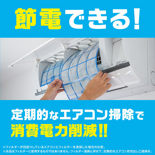 カビ取り 掃除 隙間 らくハピ エアコンの防カビスキマワイパー 取替え用 1個（5枚入） 時短 ほこり 簡単 アース製薬