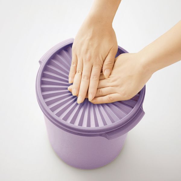 Tupperware マキシデコレーター　プリティプラム B0159 1個（直送品）