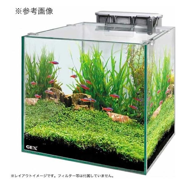 水槽 アクアテリア 新品未使用 - 水草