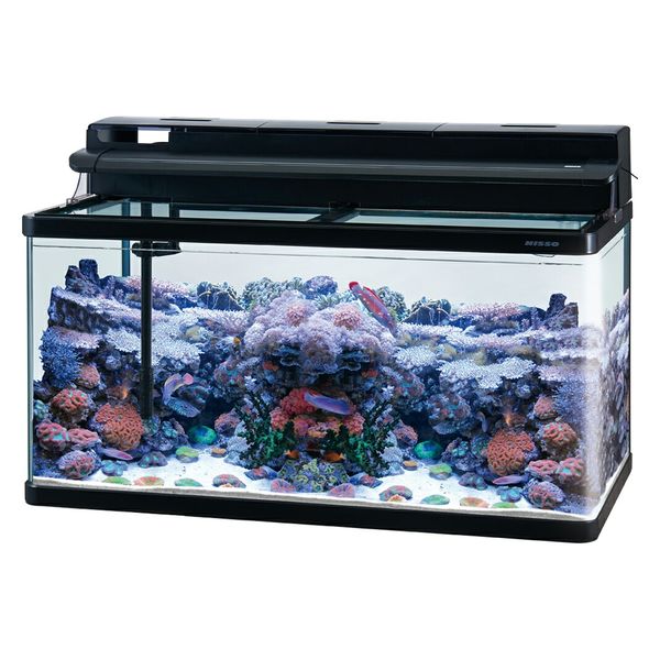 nisso曲げガラス水槽 90センチ - 魚用品/水草