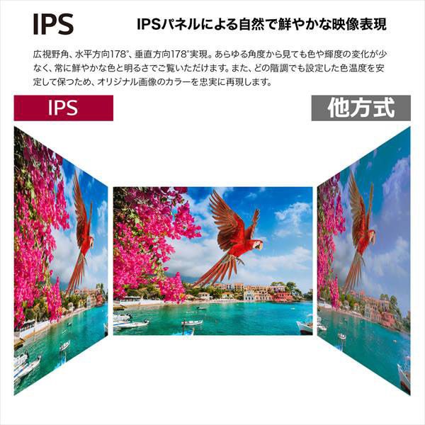 34インチ　IPS　曲面型ウルトラワイド(TM)モニター 34WQ60C-B 1台 LG（直送品）