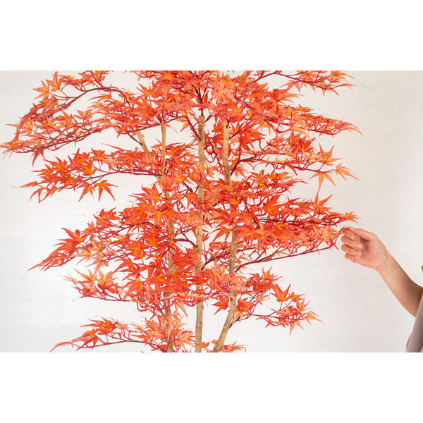 光触媒 人工観葉植物 フェイクグリーン ヤマモミジ ボウル RED 【公式