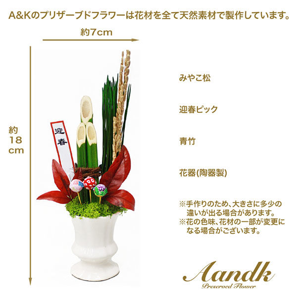 A&K 宝寿(セット販売：3個) 4573493483439 1セット(3個)（直送品