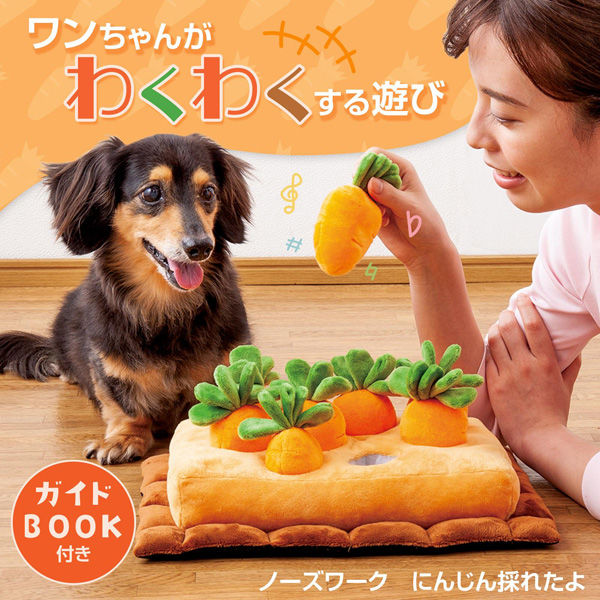 コモライフ ノーズワーク にんじん採れたよ 391551 1個入（直送