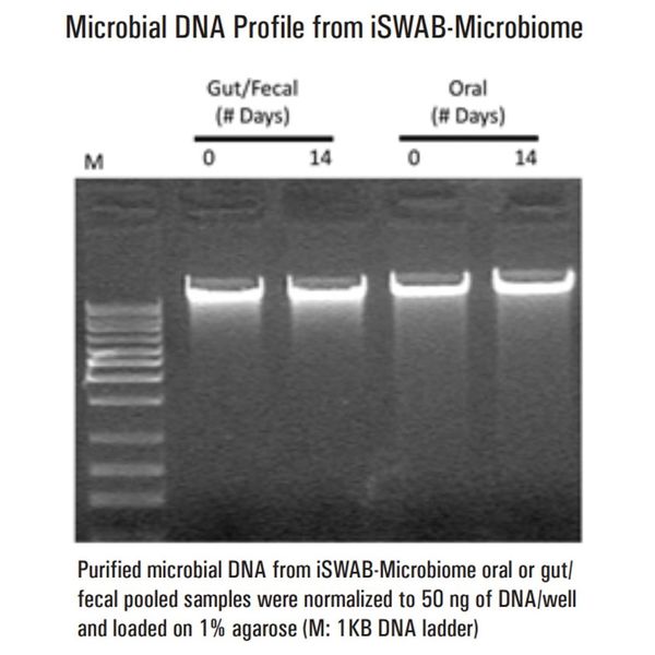 アズワン DNA検体保管チューブ(iSWAB)400uL 50本入 ISF-T-DSC-R 1箱(50本) 4-4851-01（直送品） - アスクル